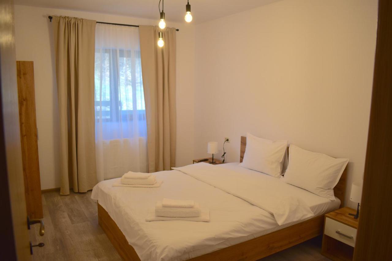 Cosy&Minimalistic Apartments - Haret Building Sinaia Exterior photo