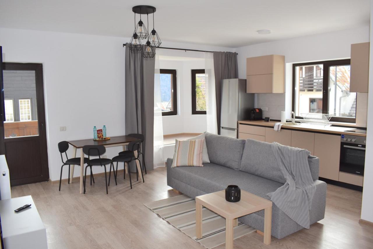 Cosy&Minimalistic Apartments - Haret Building Sinaia Exterior photo