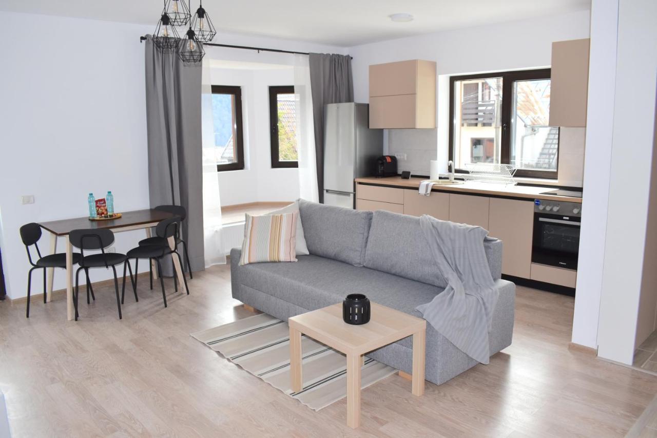 Cosy&Minimalistic Apartments - Haret Building Sinaia Exterior photo